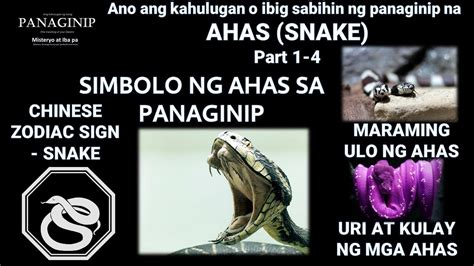 simbolo ng ahas sa panaginip meaning